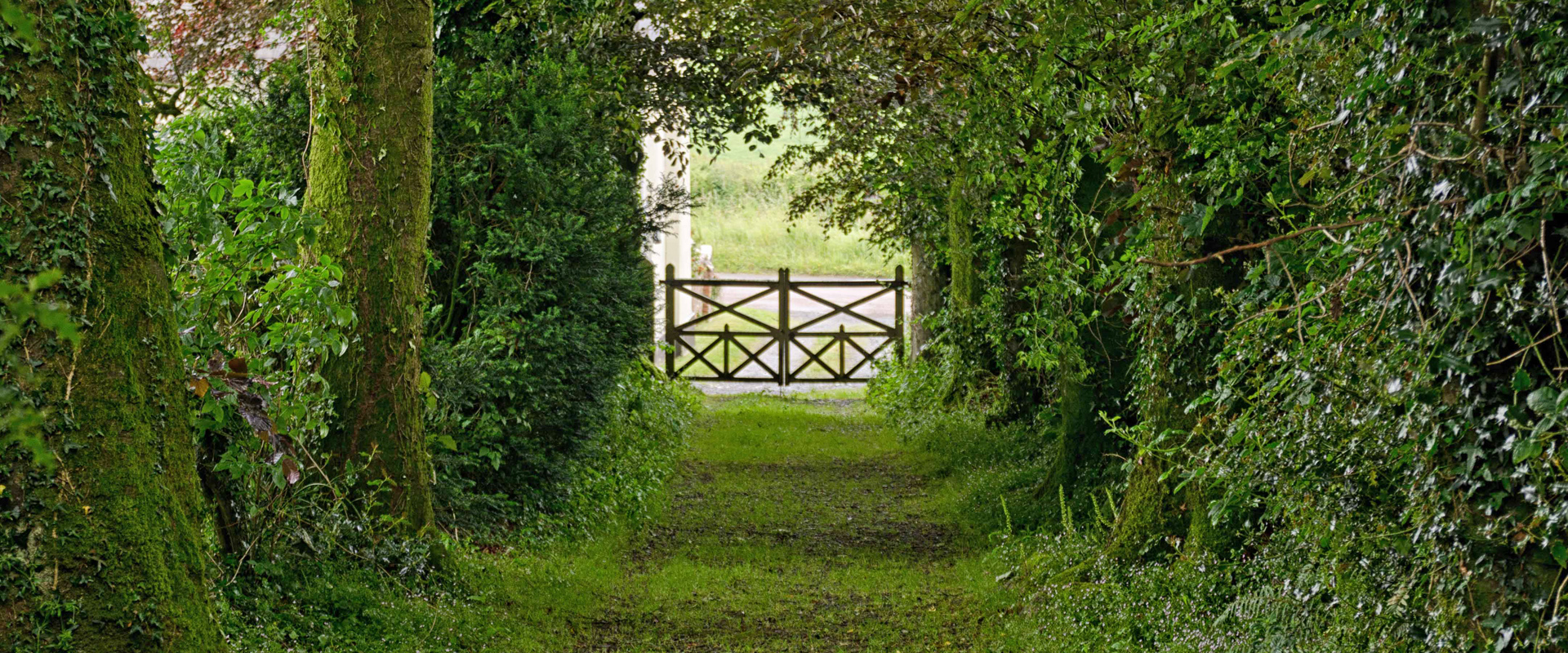 Path from Inwardleigh Church