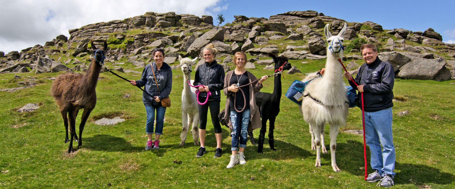 An American family on a Llama walking tour