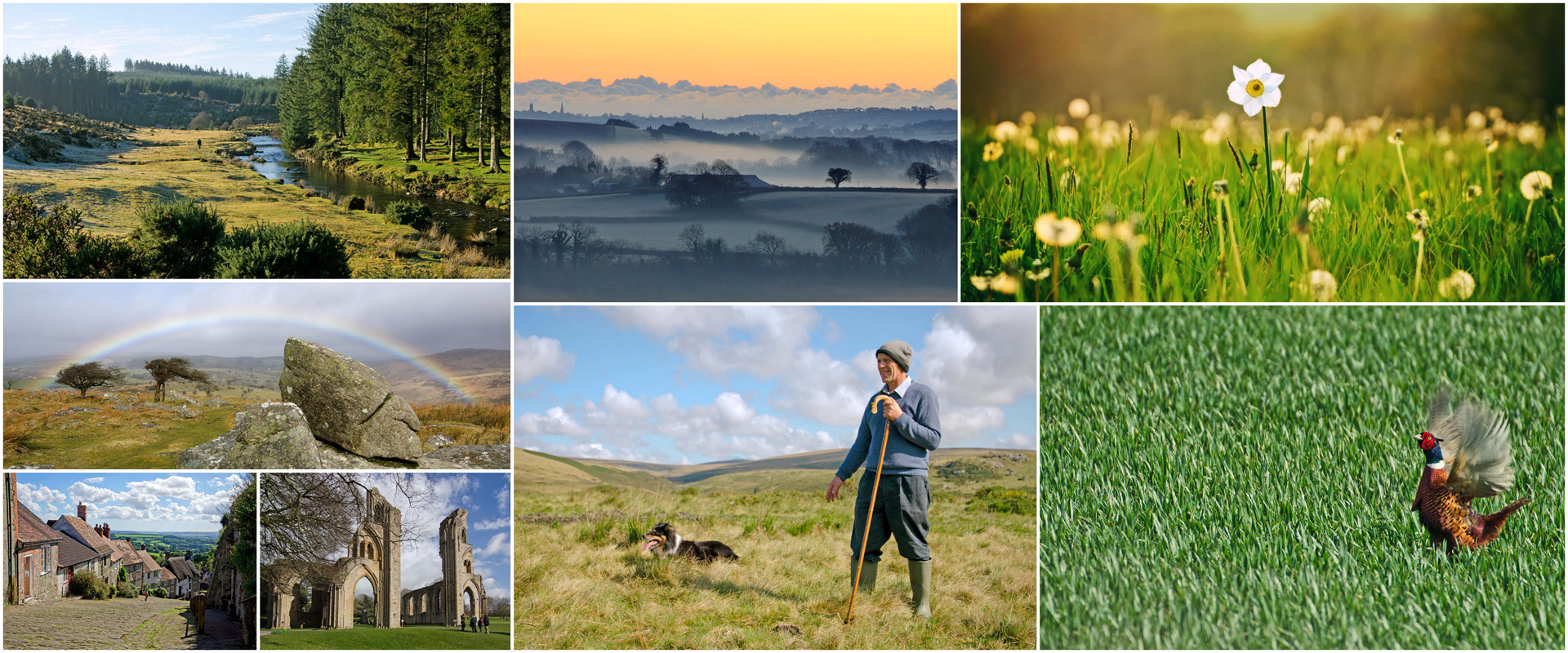 Gallery Collage of Unique Devon Tours photos