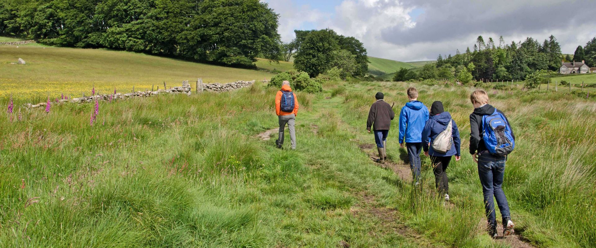 Guests on a guide walk on Dartmoor