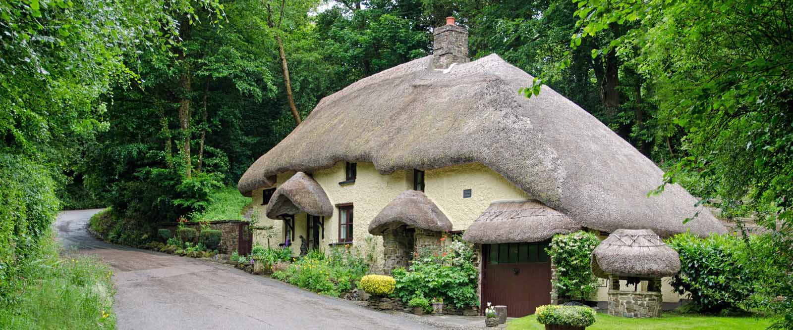 Thatched cottage in mid Devon