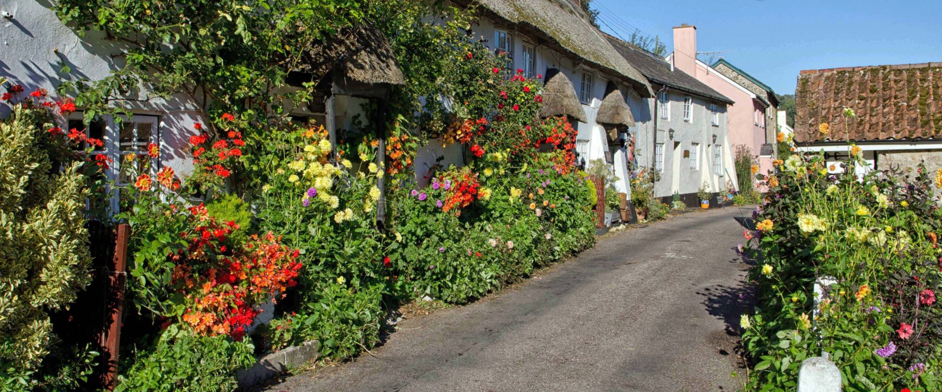 Doreen's garden at Branscombe