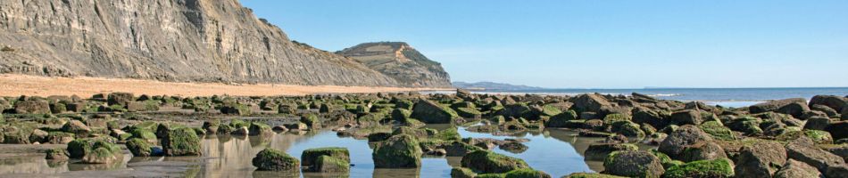 Charmouth in Dorset