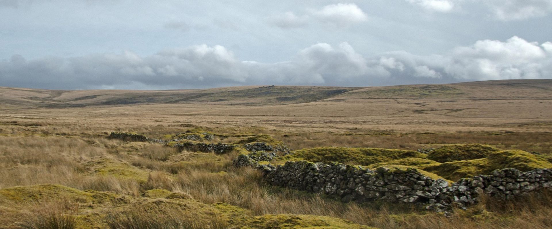 Fox Tor Mire, otherwise known as Grimpen Mire in the great story