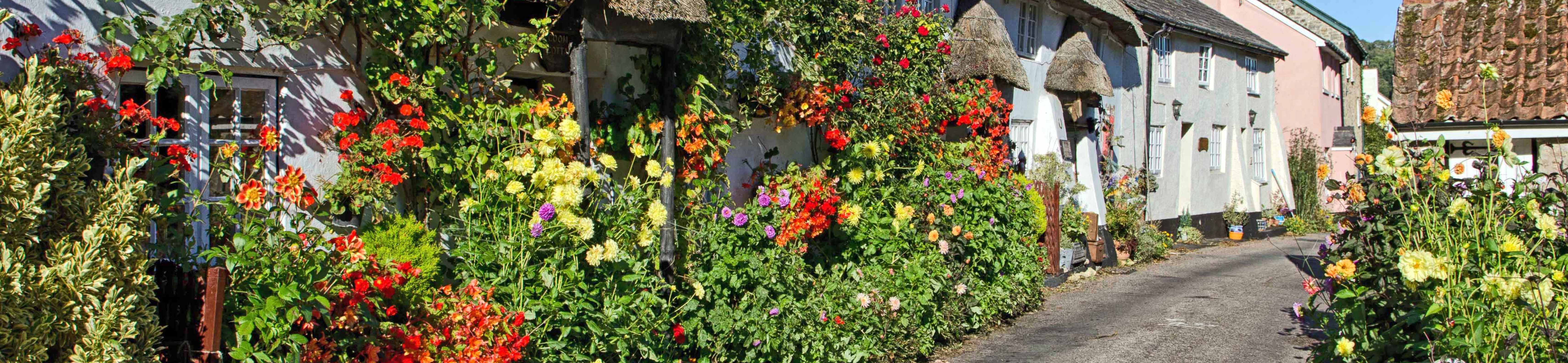Colourful cottage and garden at Branscombe in Devon