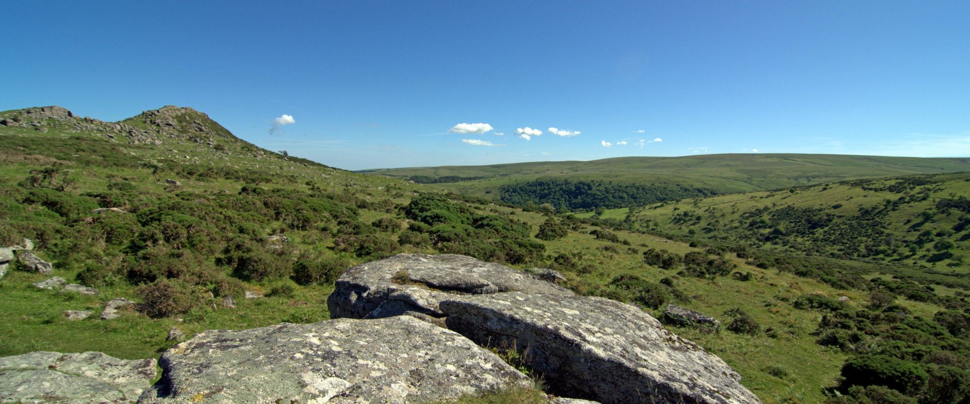 View across Dartmoor