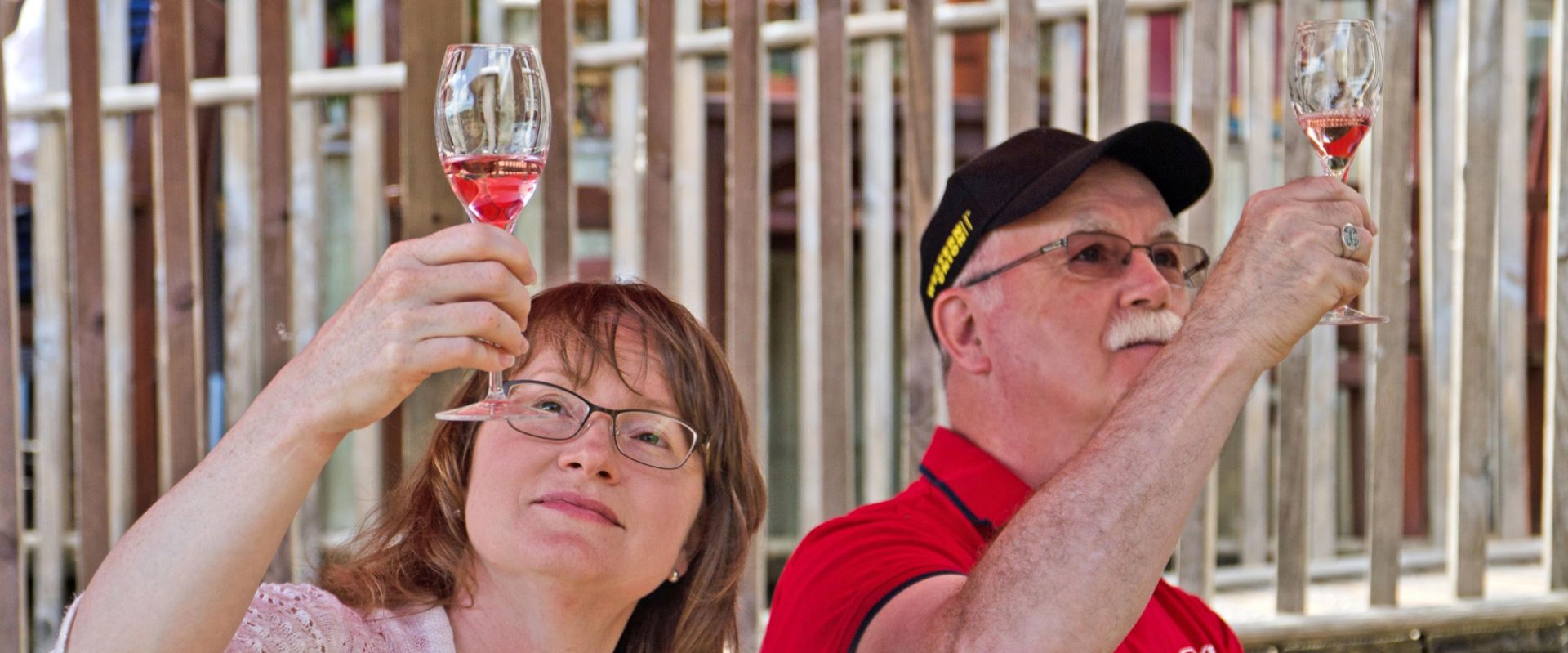 Wine and cheese tasting at Sharpham Vineyard