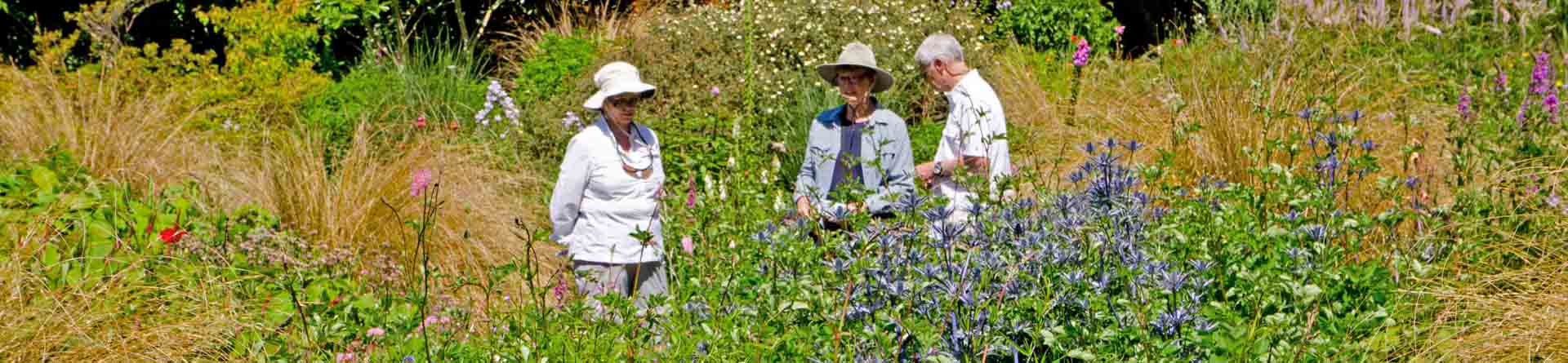 Guests at The Garden House