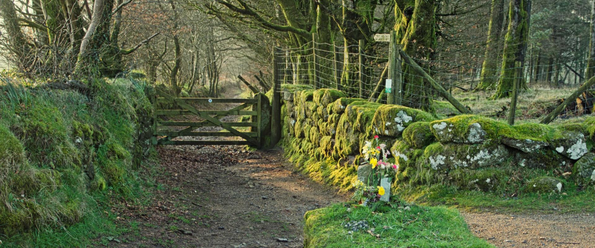 Jay's Grave on Dartmoor