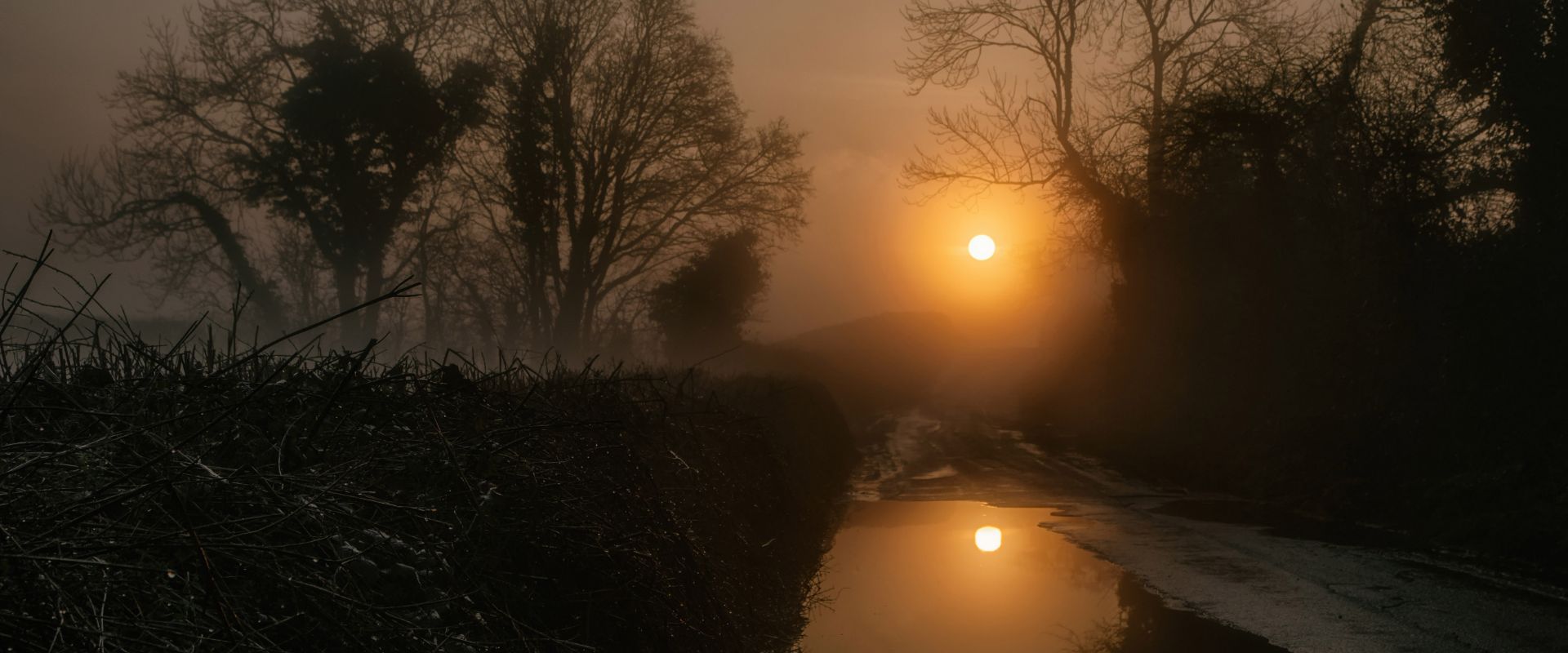 Early morning sunshine breaking through the mist in a lane in Devon