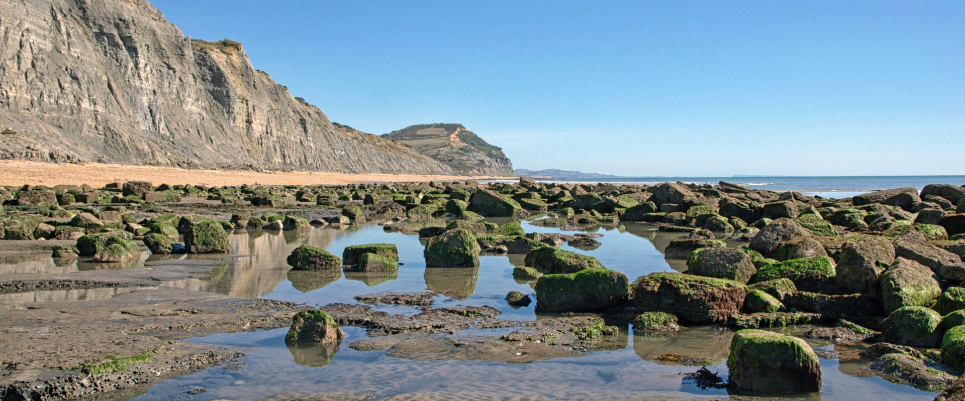 Rockpools at Charmouth