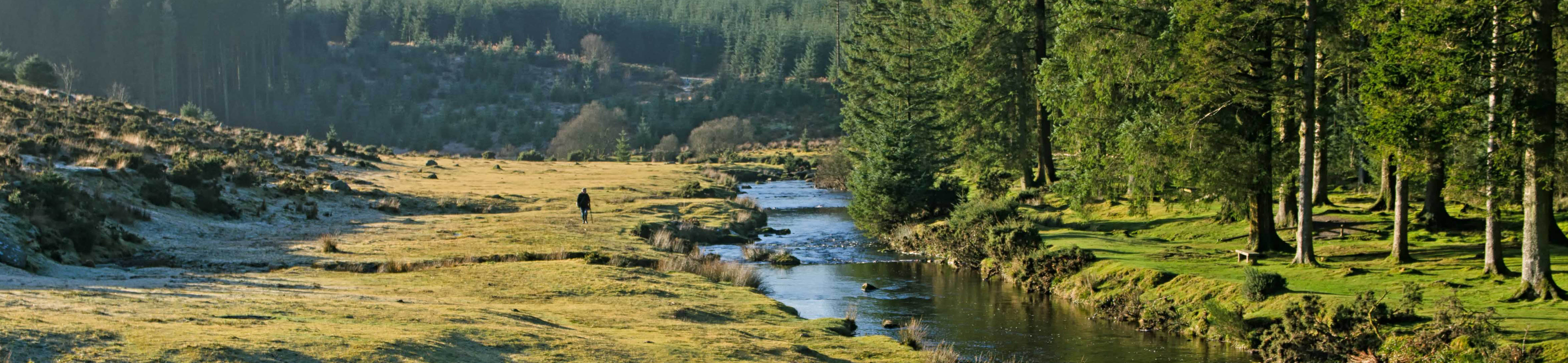 The River Dart running through Bellever on Dartmoor