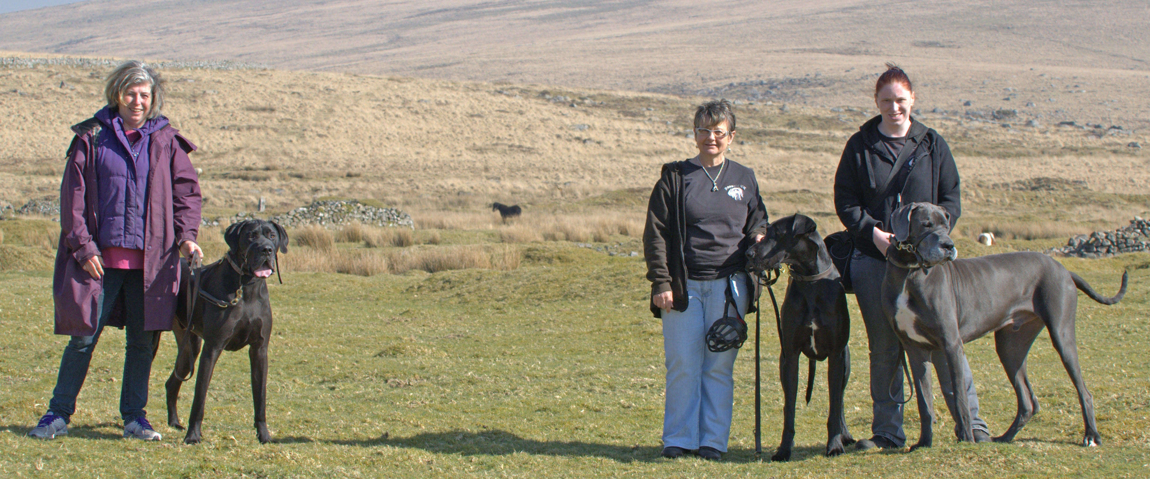 Our models during the Baskervilles photoshoot at Fox Tor Mire