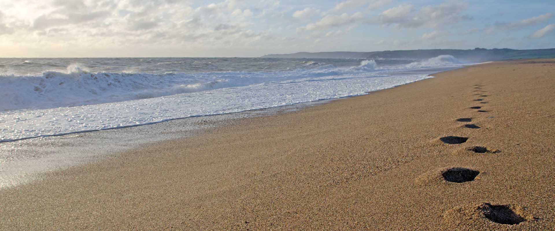 Slapton Sands where Exercise Tiger took place