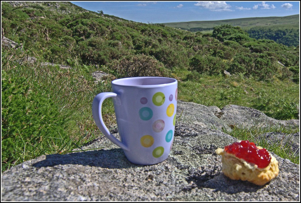 Devonshire-Cream-Tea-Dartmoor-Llamas