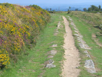 Haytor Tramway, Devon. Haytor Tramway Devon attraction