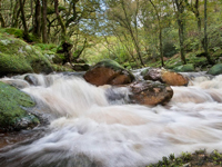 River Dart, Dartmoor