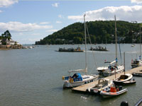 Devon Coastal Tour - River Dart