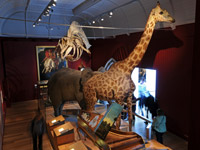Inside Exeter Museum. Inside Exeter Museum Devon attraction