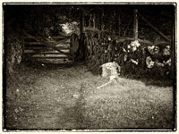 Ghost tours Jay's Grave