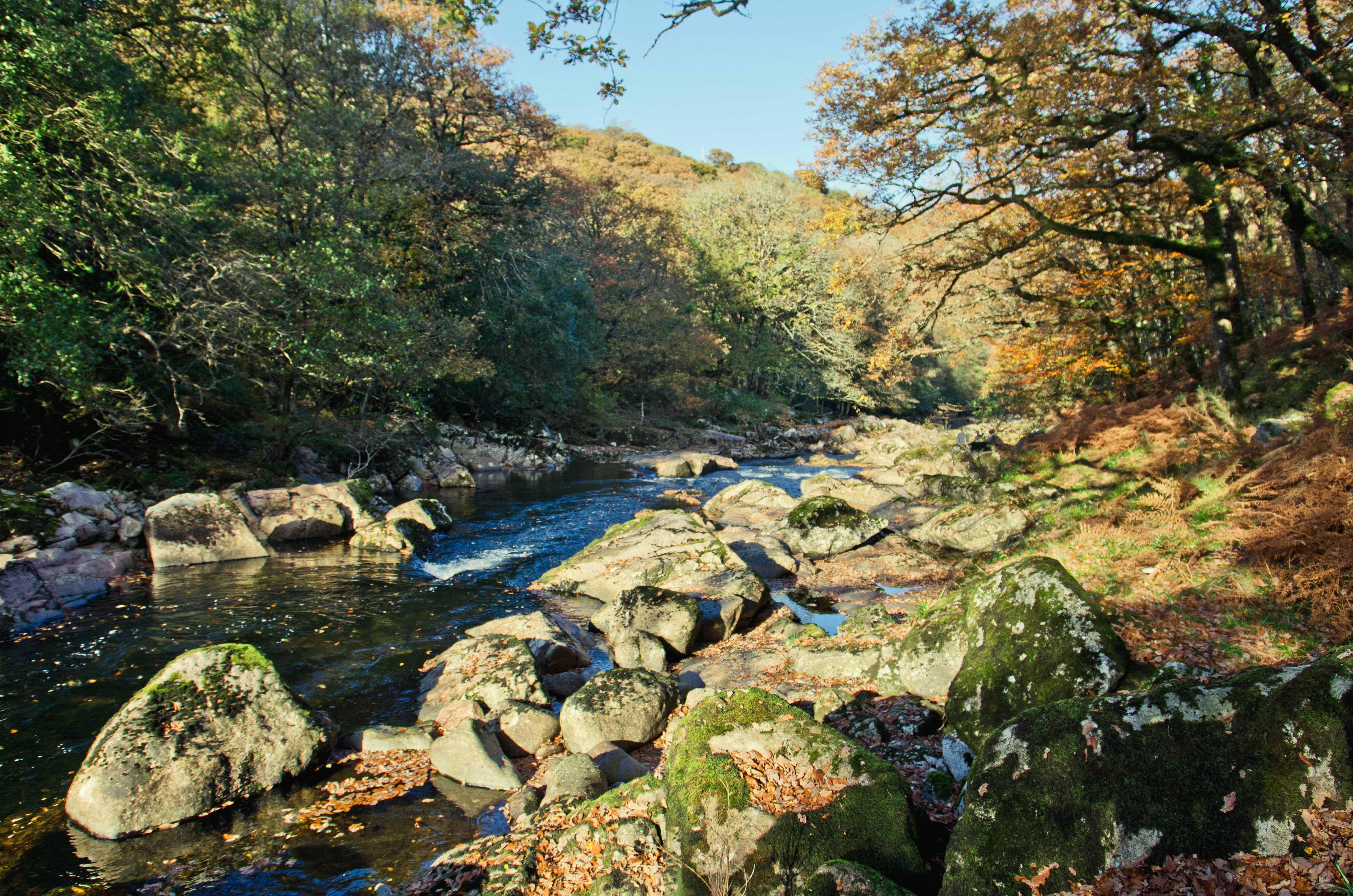 riverdart Unique Devon Tours