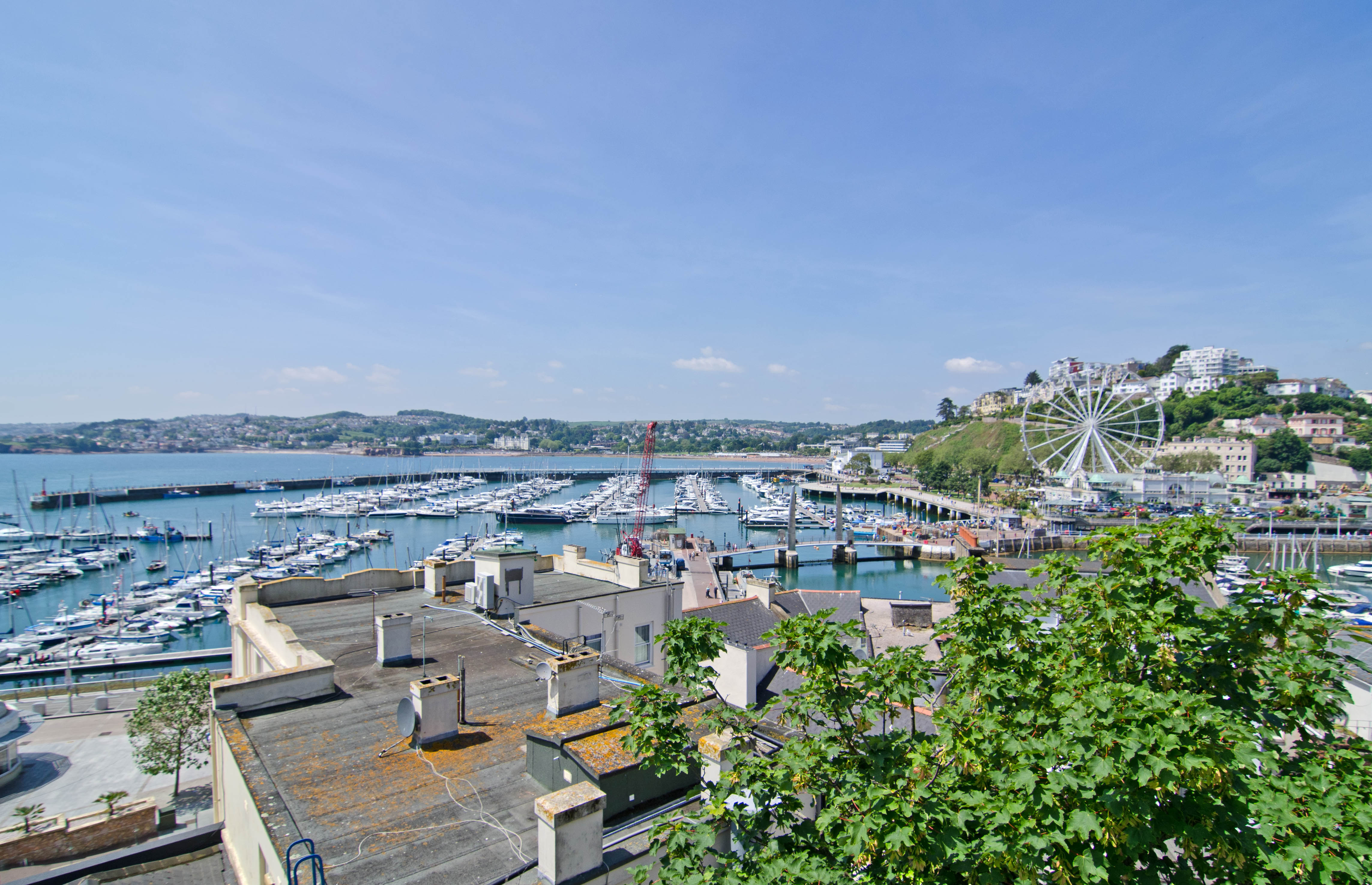 Marina View, Torquay | Unique Devon Tours