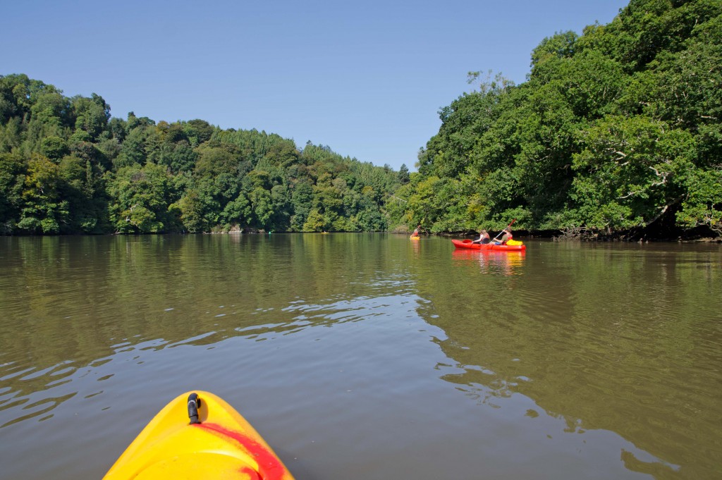 kayaking-river-dart
